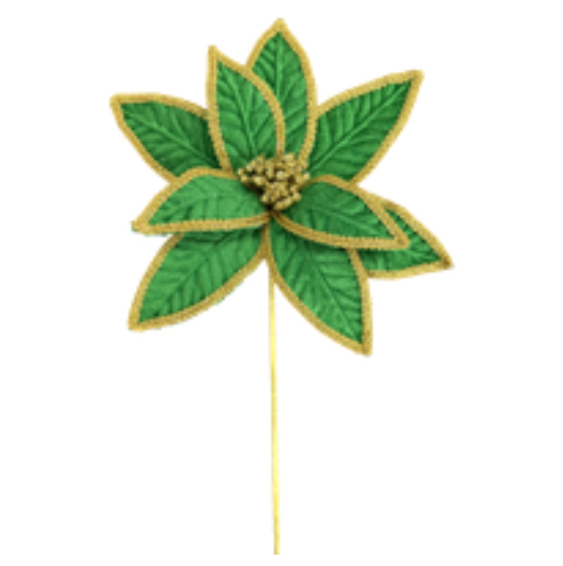 22" Poinsettia W/ Gold Trim Stem (Green)