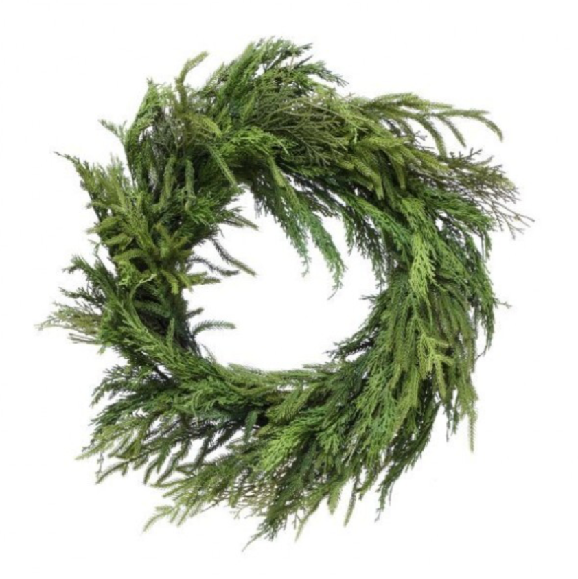 26" Cyprus/Norfolk Pine Wreath