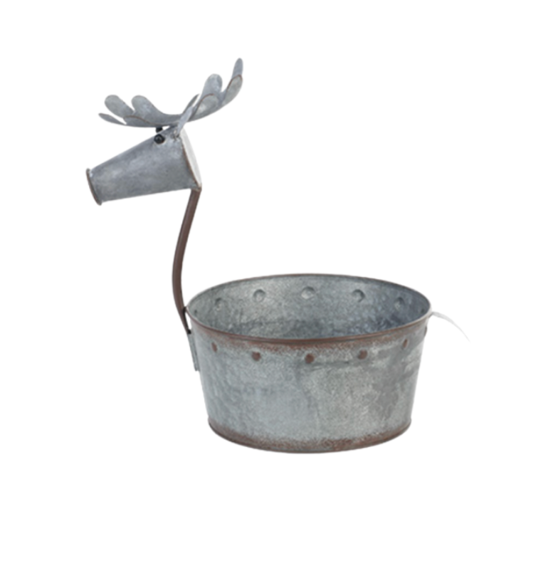Pinecone Small Deer Planter Kit