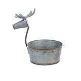 Pinecone Small Deer Planter Kit