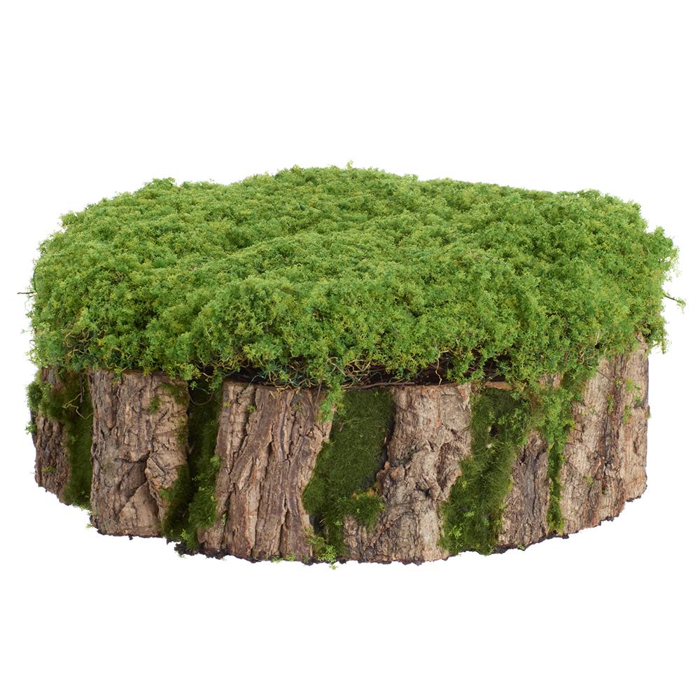 5"HX13"D Moss Stump Green