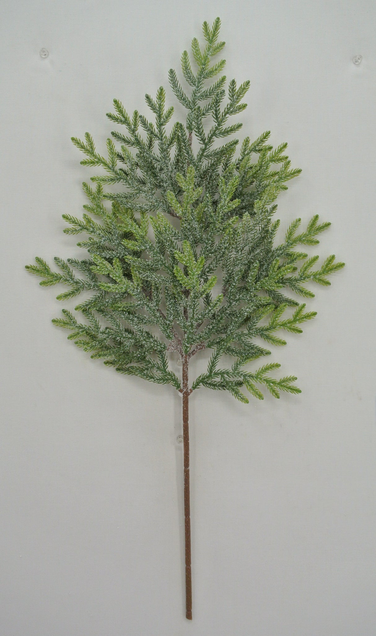 26" Frosted Norfolk Spray