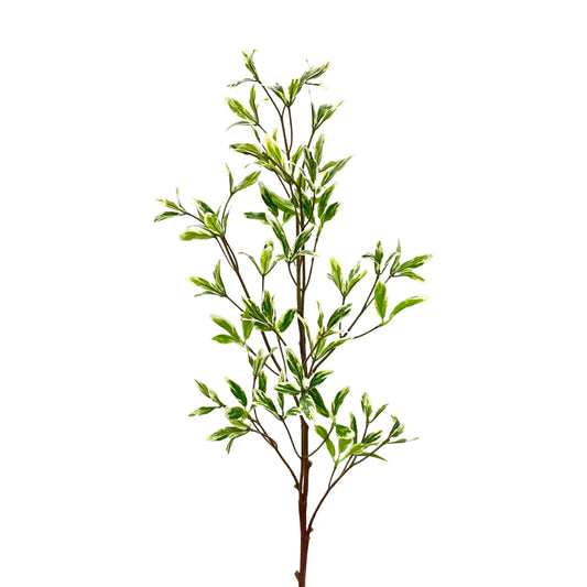 33 in. Variegated Pomegranate Leaf