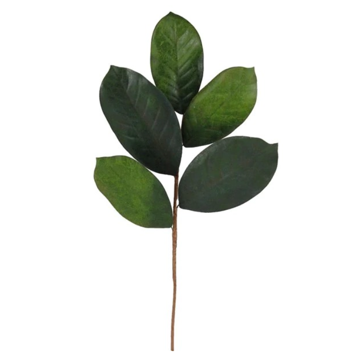 18"L Magnolia Leaf Pick