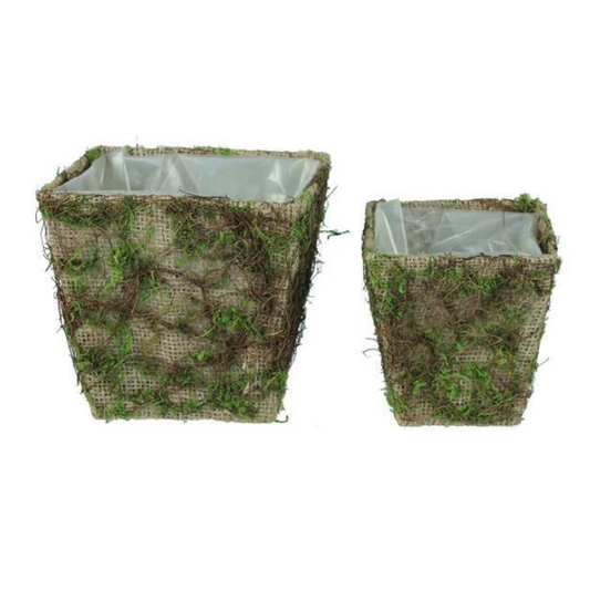 Square Burlap/Moss Planter (Set Of 2)