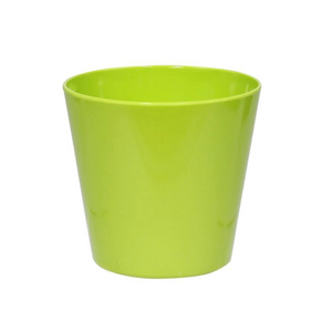 St.Patrick's Day