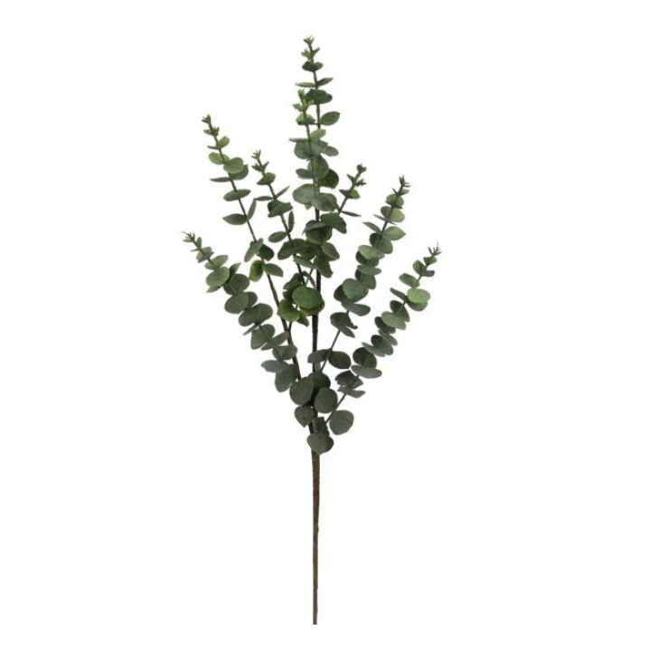 30"L Eucalyptus Spray