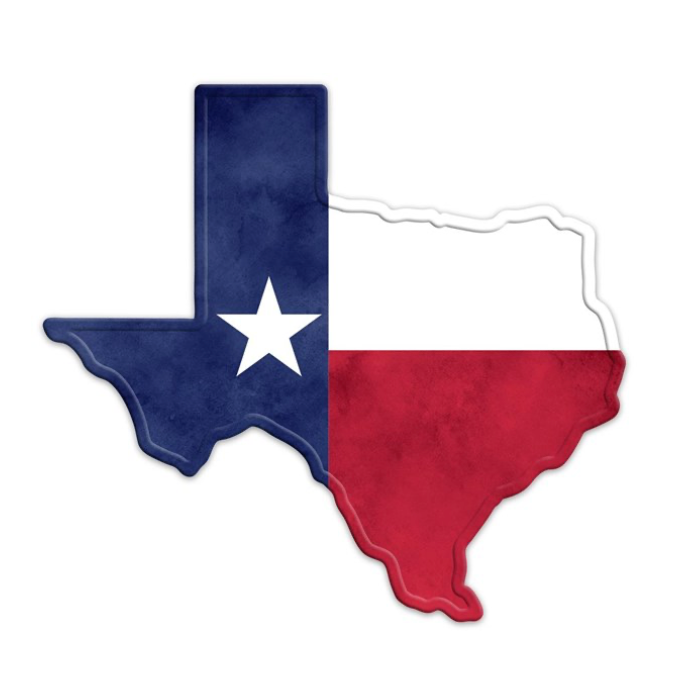 12.5"Lx11.5"H Metal Texas Flag Texas