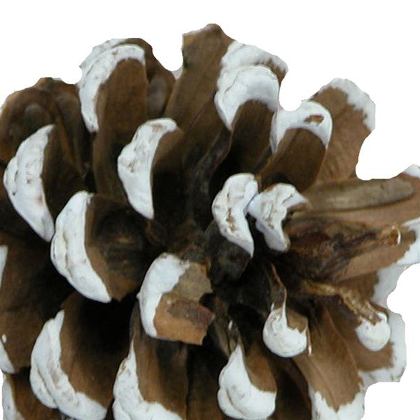 1.75" Pinecone W/7"Wire (White Tipped)