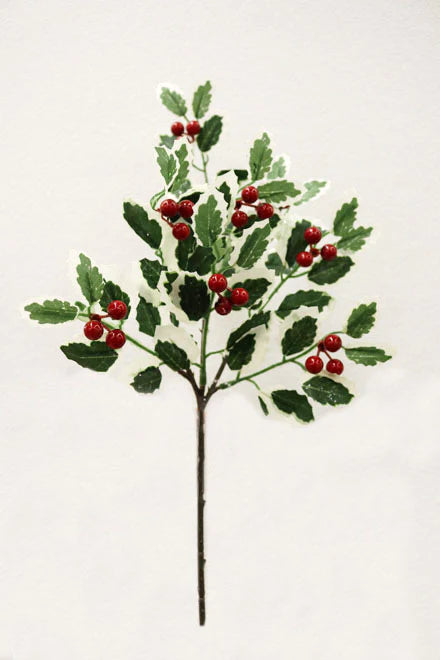 14in. Iced Holly Sp W/Berry