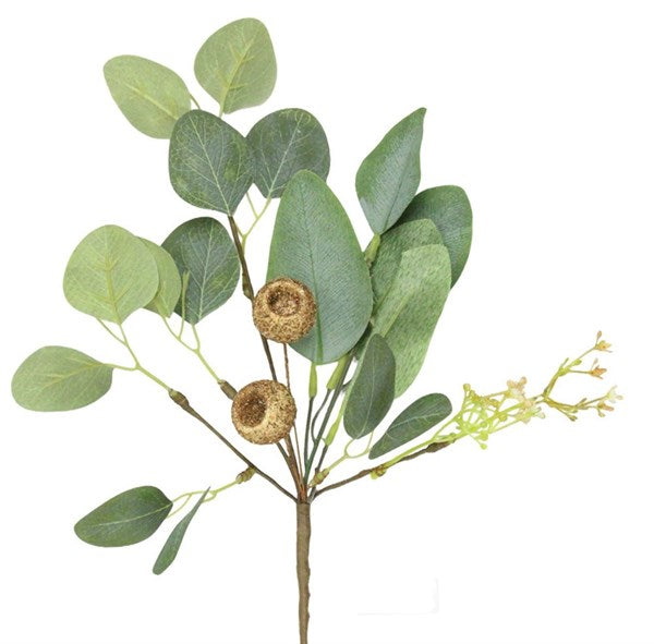 15.75"L Eucalyptus/Pod Pick