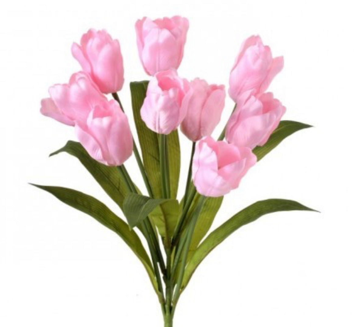 Pink Tulip Bush